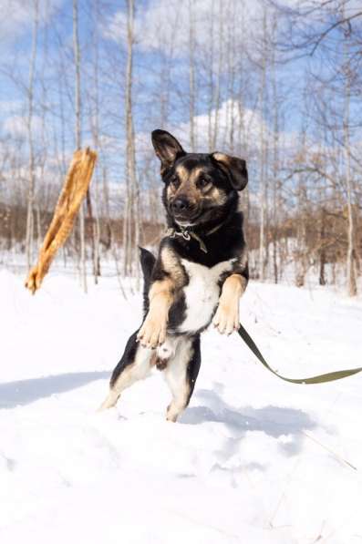 Джек ищет дом! в Москве фото 10