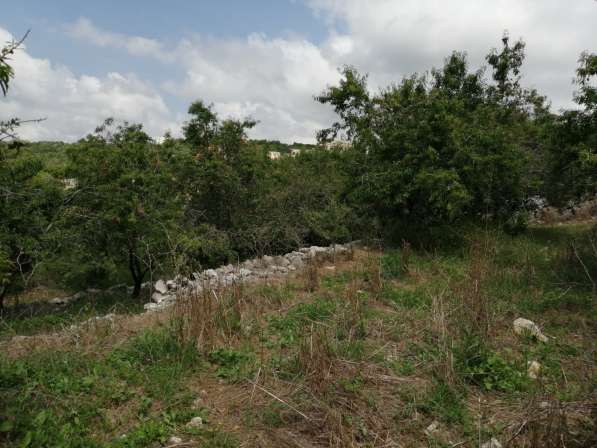 Land for sale in Lebanon, close to the sea, and quiet area в фото 8