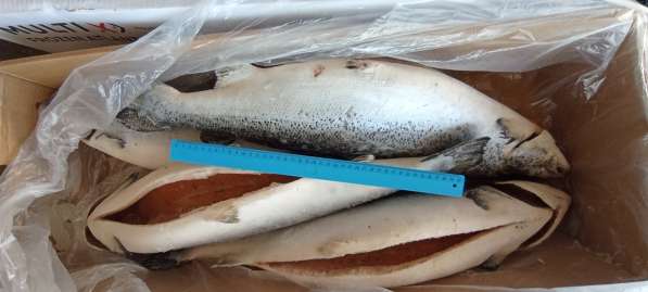Морепродукты рыба речная и морская полуфабрикаты из рыбы в Пензе фото 17