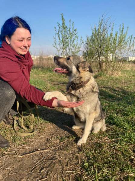 Чудесная собачка Малышка ищет семью в Москве