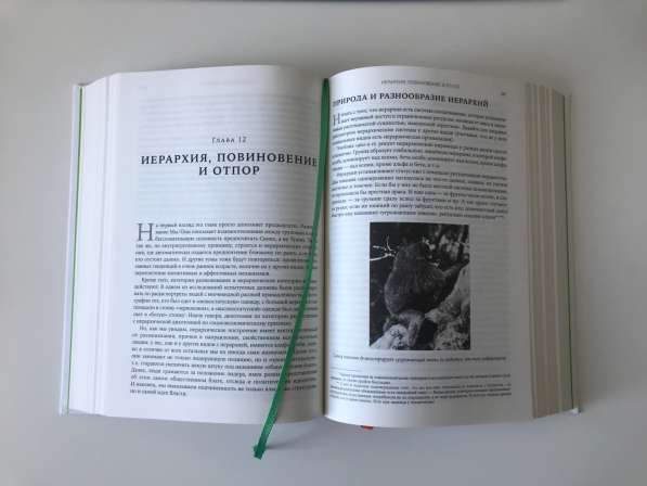 Роберт Сапольски - Биология добра и зла в Новосибирске фото 3