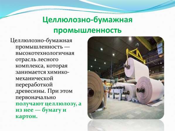 Ремонт промышленных весов в Твери фото 5
