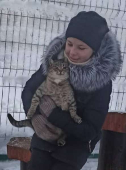 Ищет дом маленькая, весёлая кошечка Мышунька в Санкт-Петербурге фото 64