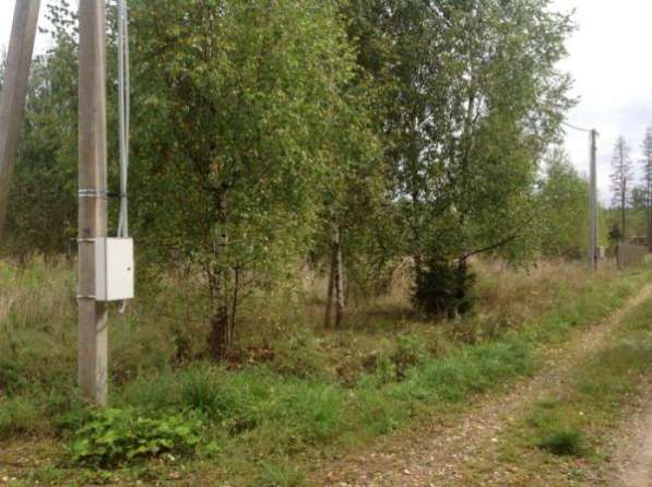 Продается земельный участок в ДНП "Березовая долина" (вблизи д. Бабынино) 119 км от МКАД, Минское шоссе. в Можайске фото 3
