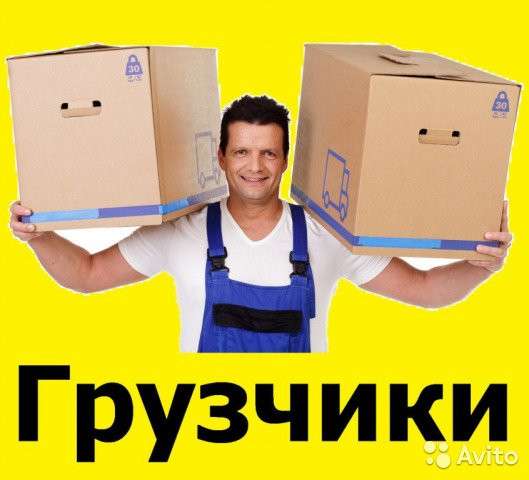 Предоставляем услуги грузчиков