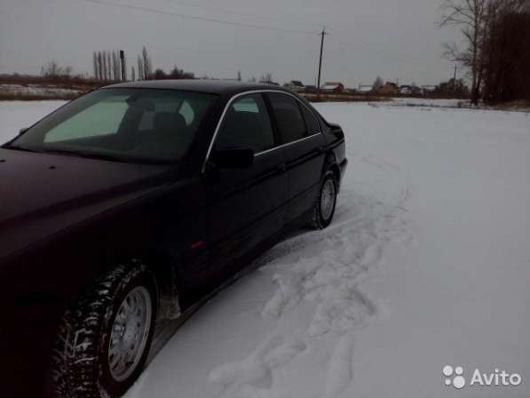 BMW, 5er, продажа в Воронеже в Воронеже фото 10