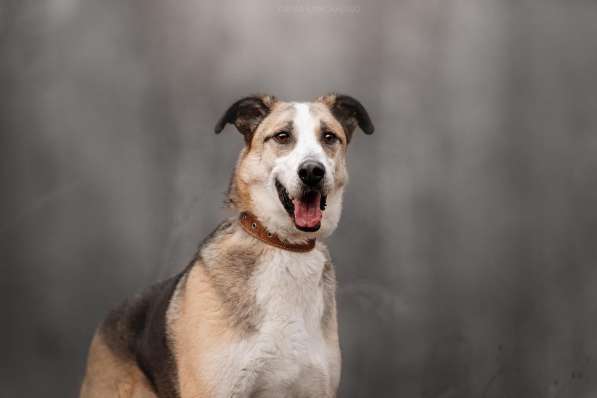 Молодой энергичный Майор ищет семью в Москве фото 67