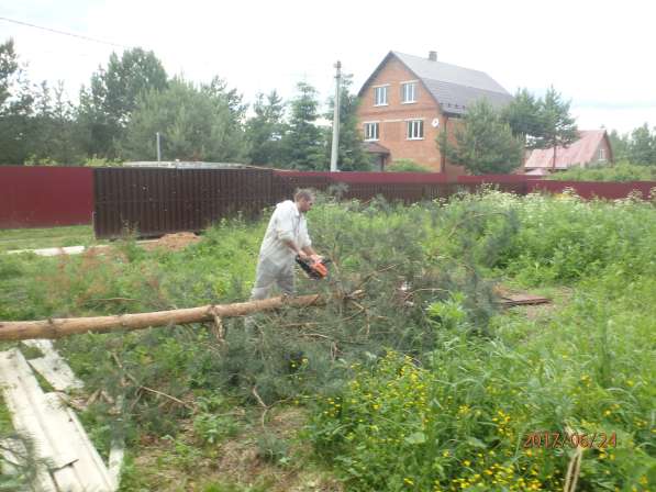 Обрезка деревьев, расчистка от мелколесья в Орехово- Зуево в Орехово-Зуево фото 3