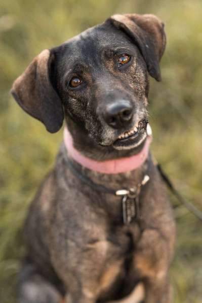 Люся ищет свою вселенную!