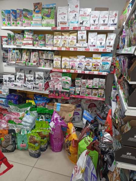 Зоомагазин в Омске фото 5