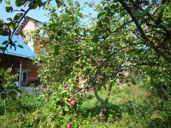 Кирпичный дом в г. Козельске, Калужской обл, 270 км. от МКАД в Раменское фото 8