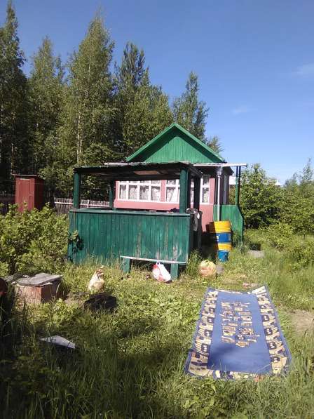 Дача в СОТ "Уралочка" за ж/д переездом п.Высокий 2-й поворот в Нижневартовске