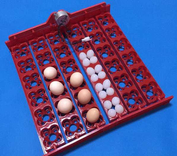 Лотки с переворотом для инкубатора на 36-144 яиц универсальн в Астрахани фото 9