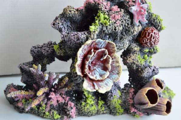 Аквариумные украшения, коралловые рифы