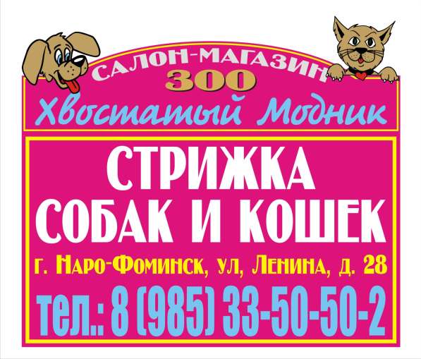 Стрижка собак в Наро-фоминске