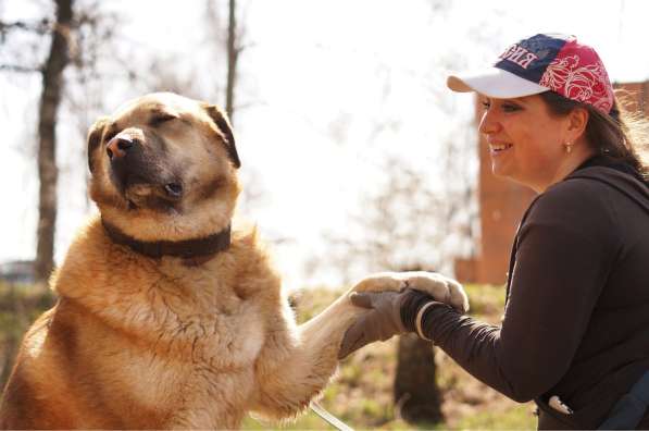 Кохинор ищет семью в Москве фото 23