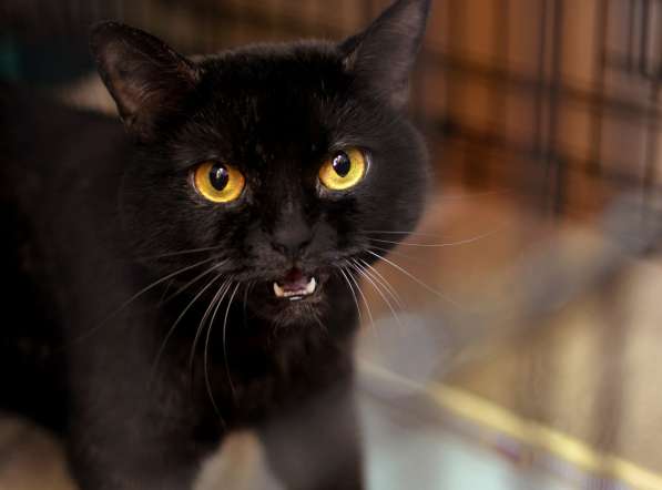 Добрая Ульяна ищет понимающего, душевного человека в Москве