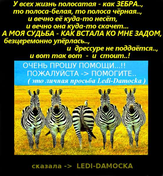 Гражданка ЕС, Весь пакет документов-Есть! Ищу работу! Срочно