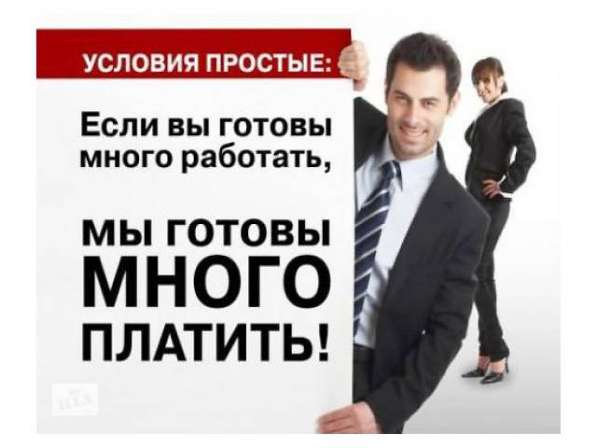 Требуются директора интернет-магазинов