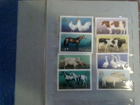Коллекция марок в Волжский фото 7