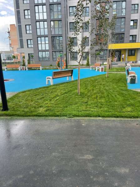 Ландшафтный дизайн. Озеленение в Краснодаре фото 10