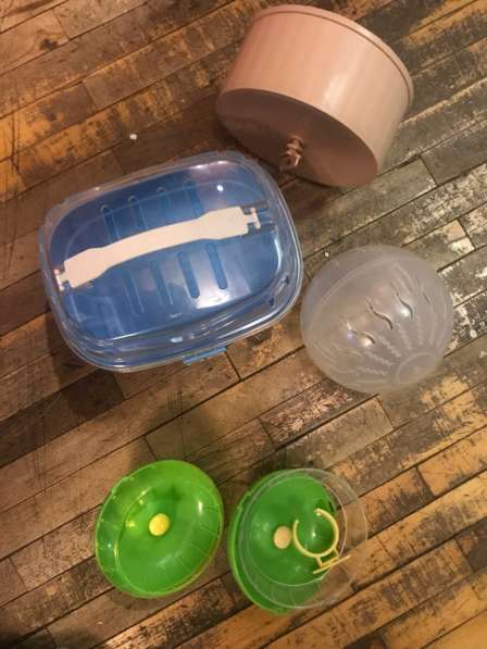 Товары для животных