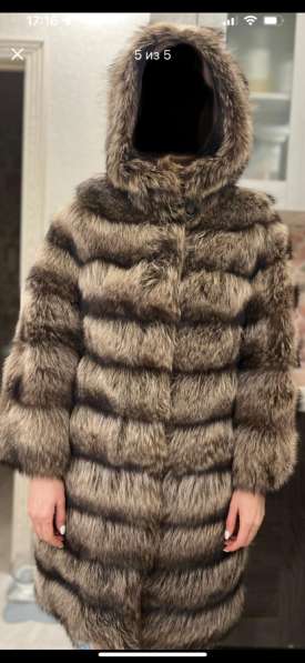 Шуба из енота