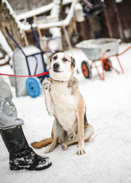 Молодой энергичный Майор ищет семью в Москве фото 27