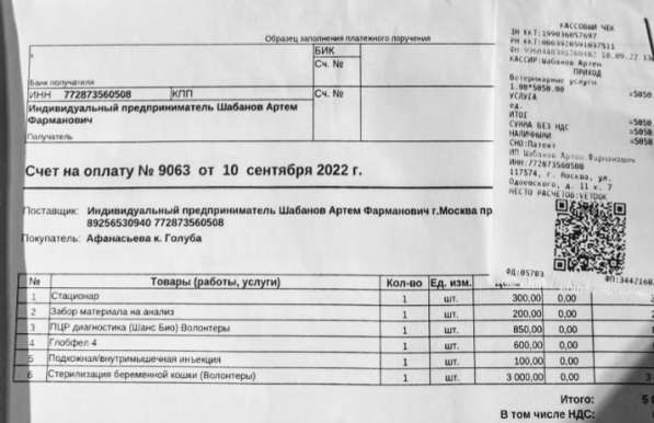 Сос! Кошечку выкинули на улицу в Москве фото 4