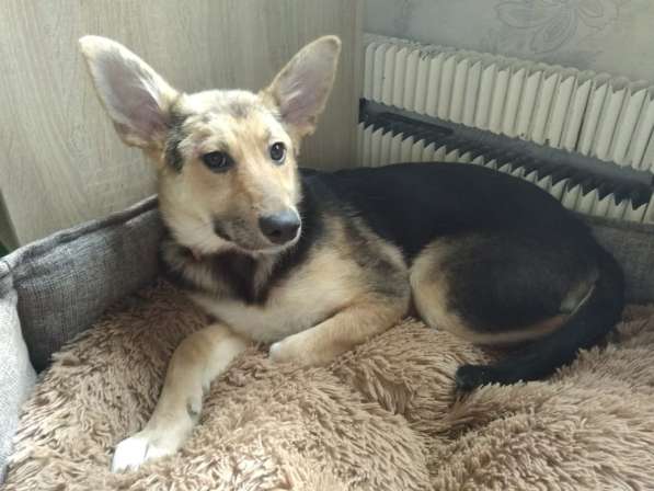 Малыши Герда и Грант идут дом