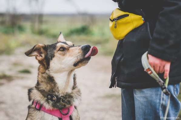Нежнющий Купер в Москве фото 37