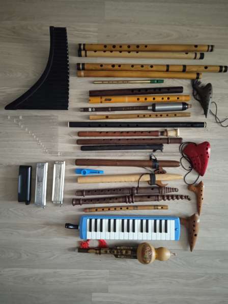 Обучаю игре на Саксофоне и др. инструментах в Путилково фото 5