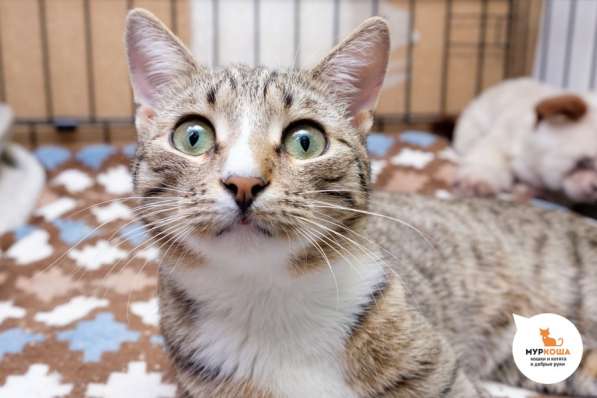 Тейлор хочет сделать вас счастливее