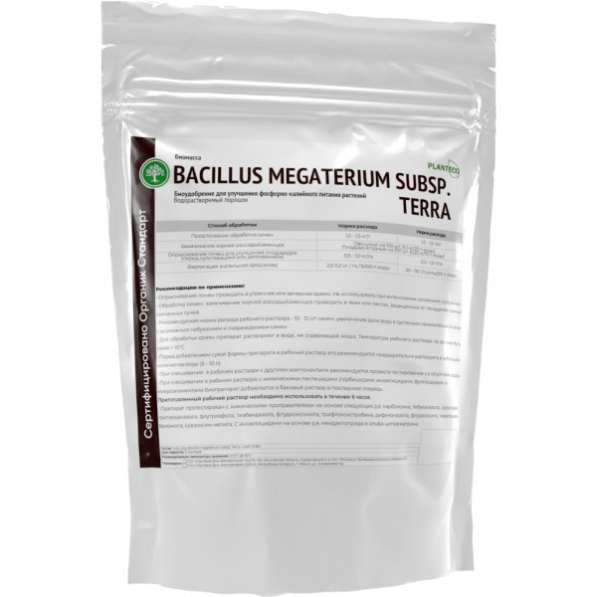 Bacillus megaterium Organic