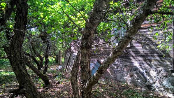Домик с баней и хоз-вом на живописном участке 1 Га. у леса в Пскове фото 8