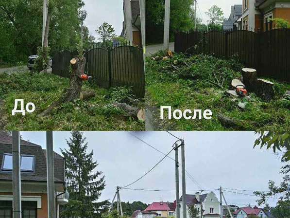 Расчистка участов; Благоустройство; Спил; Покос в Воронеже фото 20