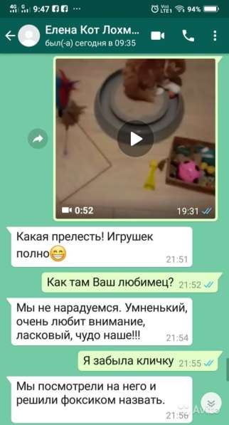 Умные фолды в Москве фото 4