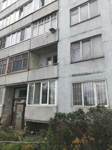 Авито Волхов Недвижимость Квартиры Купить