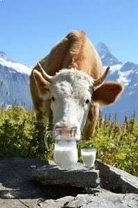 Молоко, Сметана в Костерёво