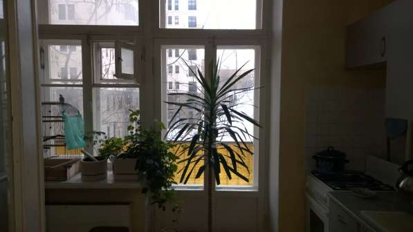 ПРОДАЮ ИЛИ МЕНЯЮ КОМНАТУ НА ФРУНЗЕНСКОЙ НАБЕРЕЖНОЙ в Москве фото 10