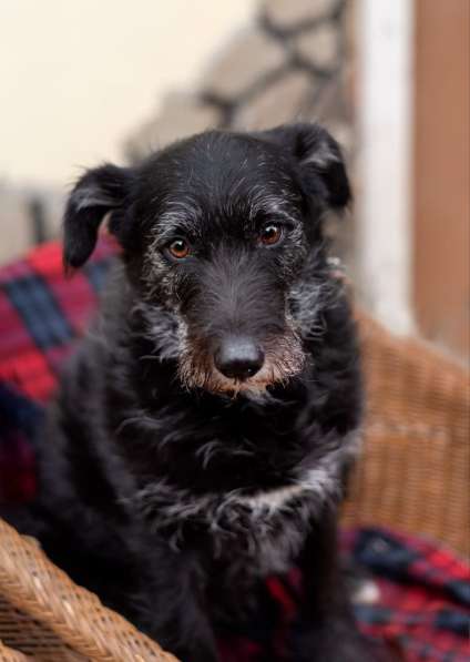 Лиза едет в загородный дом в Москве фото 5