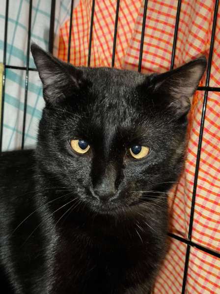 Красавчик Савелий ждёт свою семью