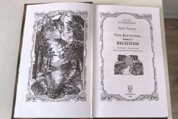 Коты-воители Тень Когтегрива, первая книга в Санкт-Петербурге