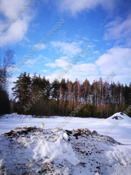 realty_mapper3.plot_in_locationСадовое некоммерческое тов-во. Площадь 8.00 сот.Есть Электричество. в Москве фото 8