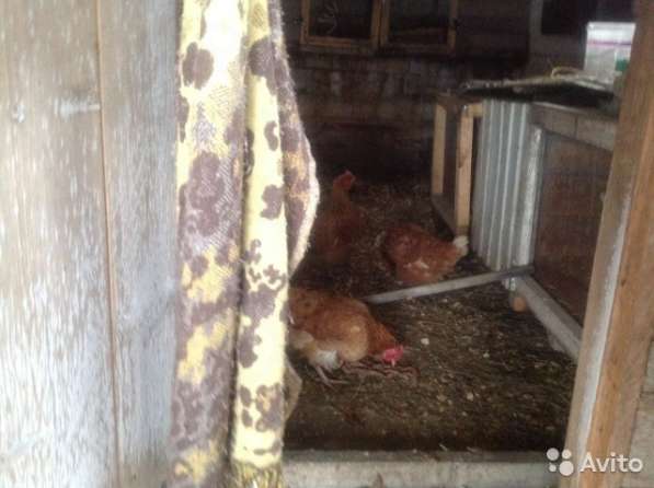 Продажа дома в Абакане фото 17