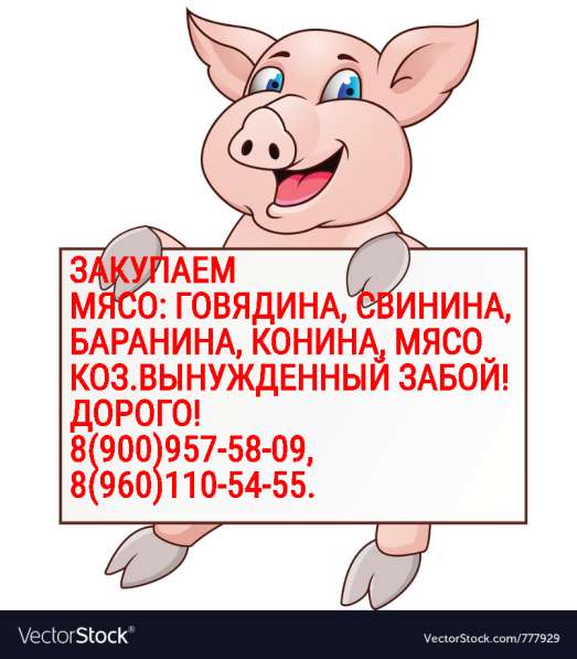 КУПЛЮ МЯСО