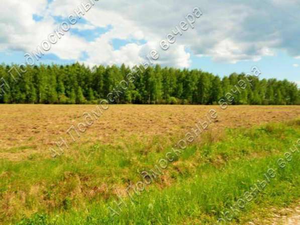 realty_mapper3.plot_in_locationПлощадь 11.00 сот.Есть Электричество, Газ. в Москве фото 6