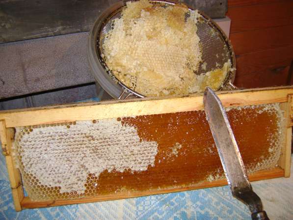 Продам пчелопродукцию с личной пасеки в Богдановиче фото 3