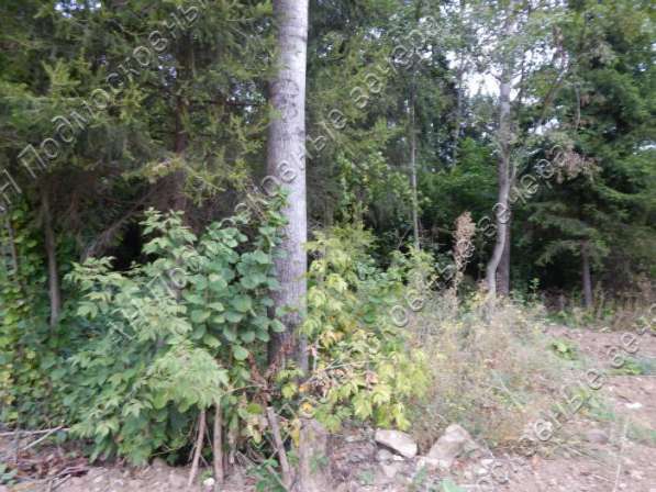 realty_mapper3.plot_in_locationПлощадь 15.00 сот.Есть Электричество, Газ. в Москве