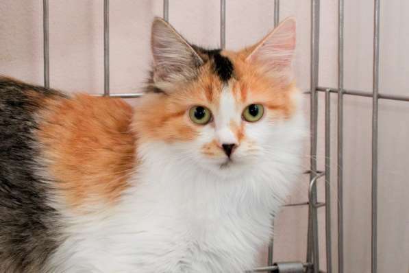 Ласковая Фруттис мечтает о встрече с семьей